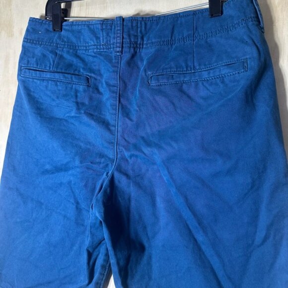Hollister Cali Longboard Fit Shorts Size 32 Blue - Picture 7 of 9
